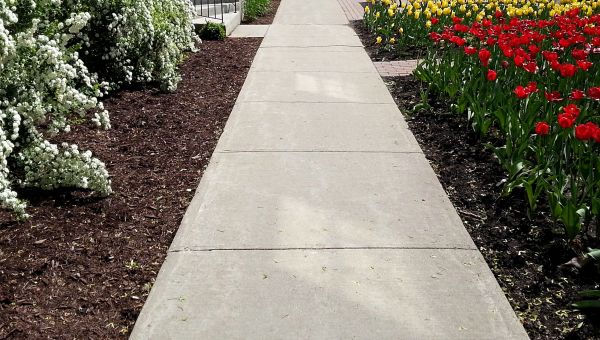 Concrete Pathway Repair in Lafayette