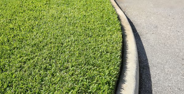 Driveway Curb Repair in Lafayette